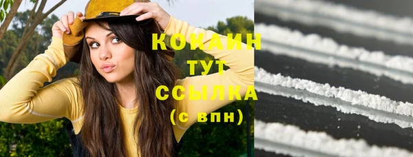 тгк Няндома