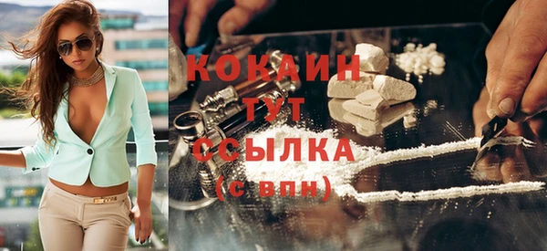 мдпв Кирсанов