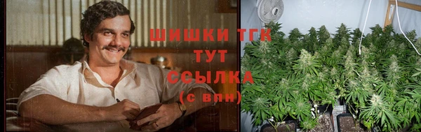 таблы Новозыбков